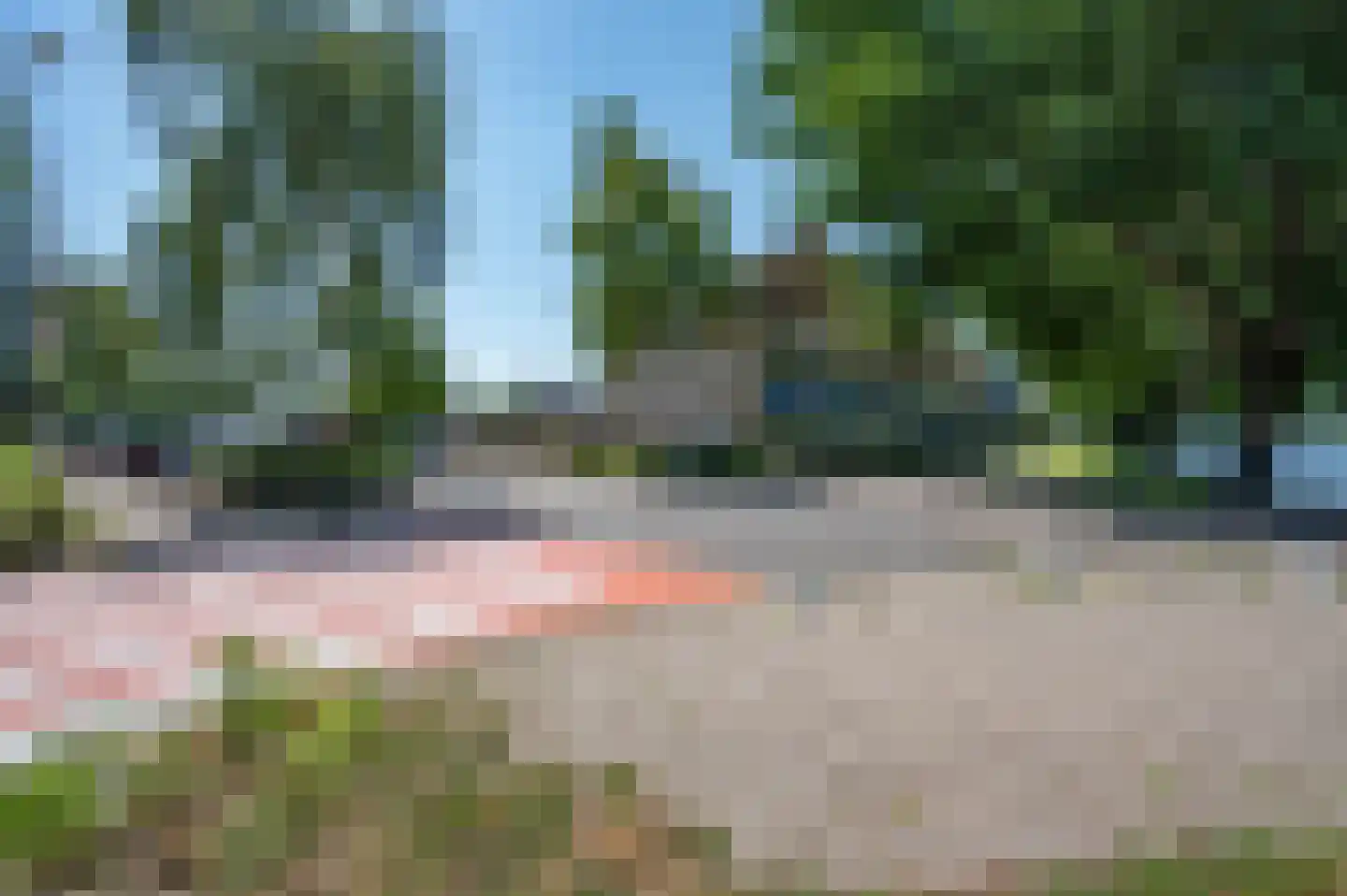 Florazoom 58 Zoetermeer thumbnail 40