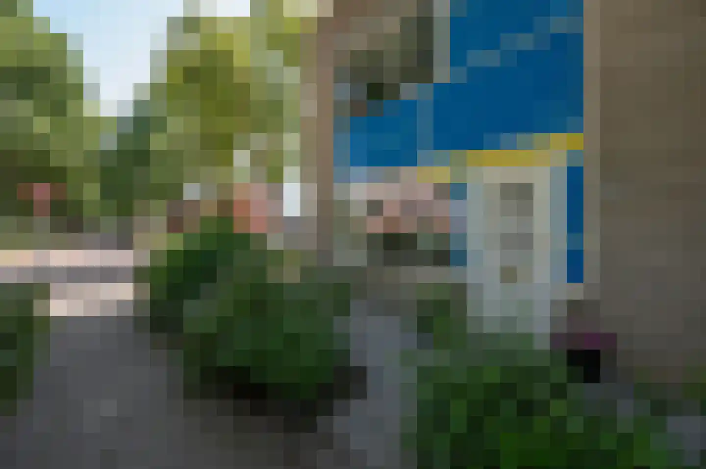 Florazoom 58 Zoetermeer thumbnail 47