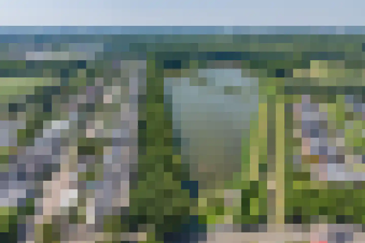 Florazoom 58 Zoetermeer thumbnail 50