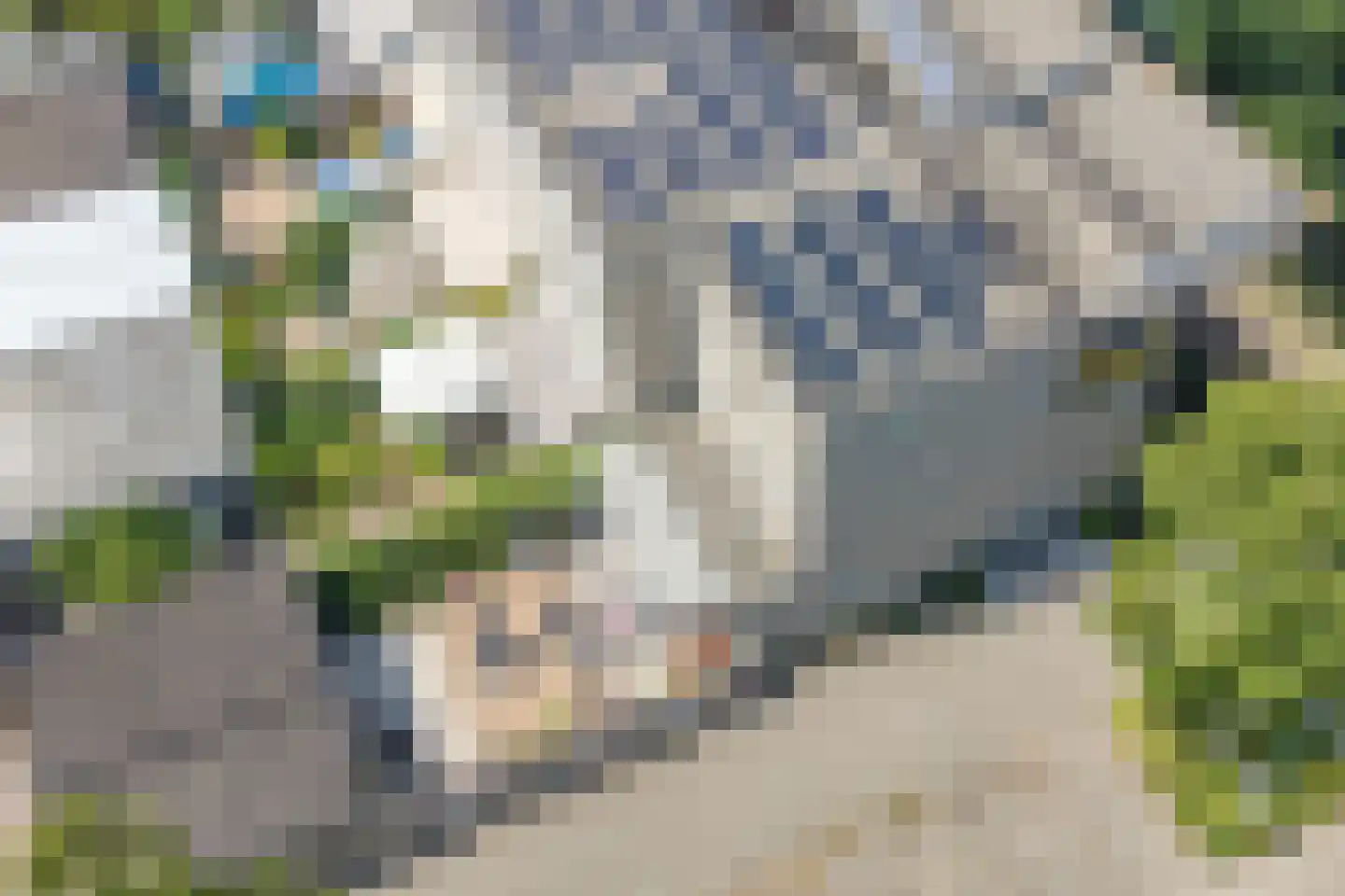 Florazoom 58 Zoetermeer thumbnail 53