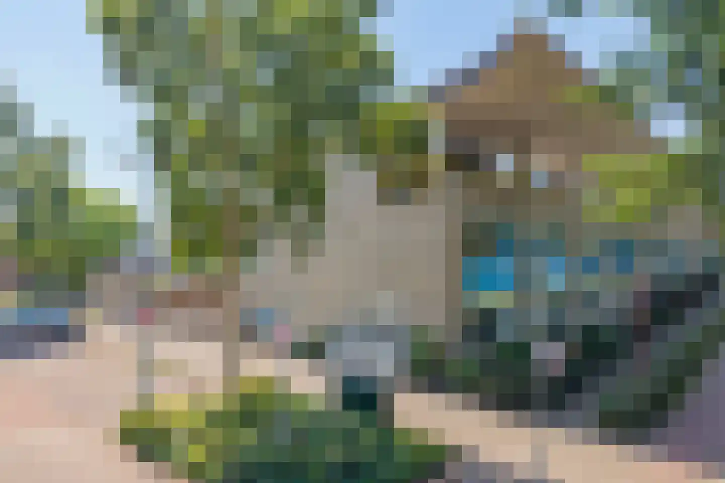 Florazoom 58 Zoetermeer thumbnail 54