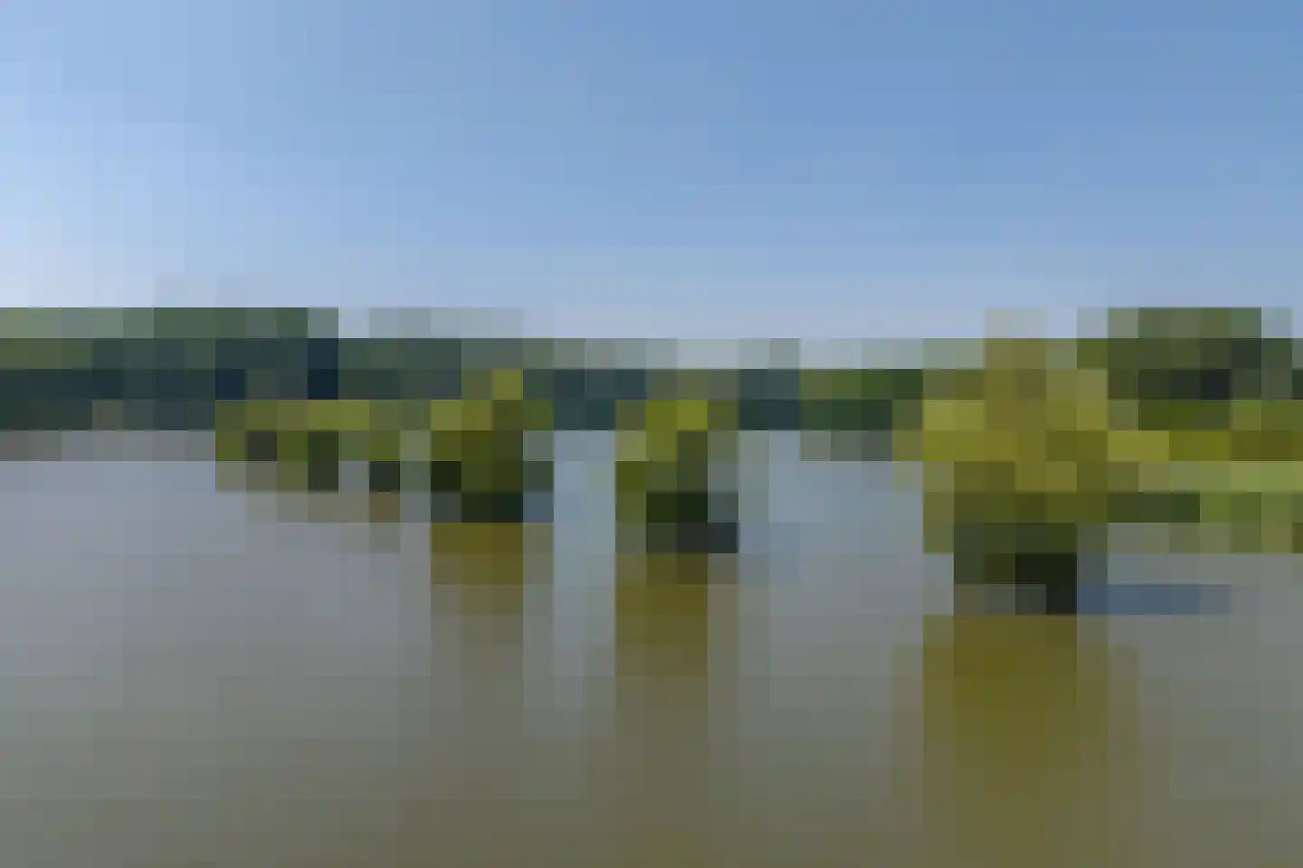 Florazoom 58 Zoetermeer thumbnail 55