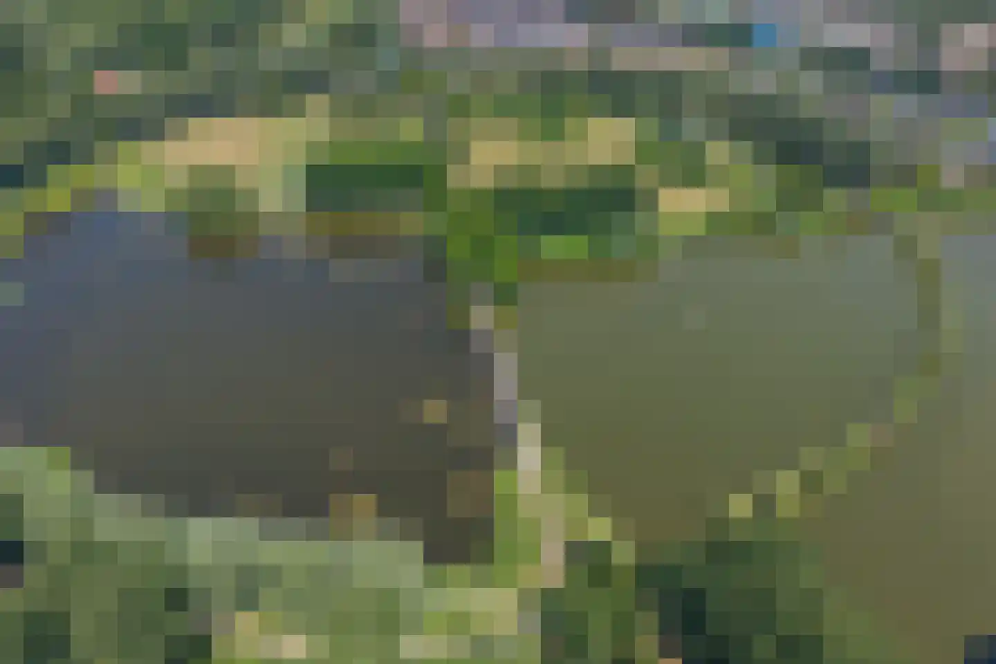 Florazoom 58 Zoetermeer thumbnail 56