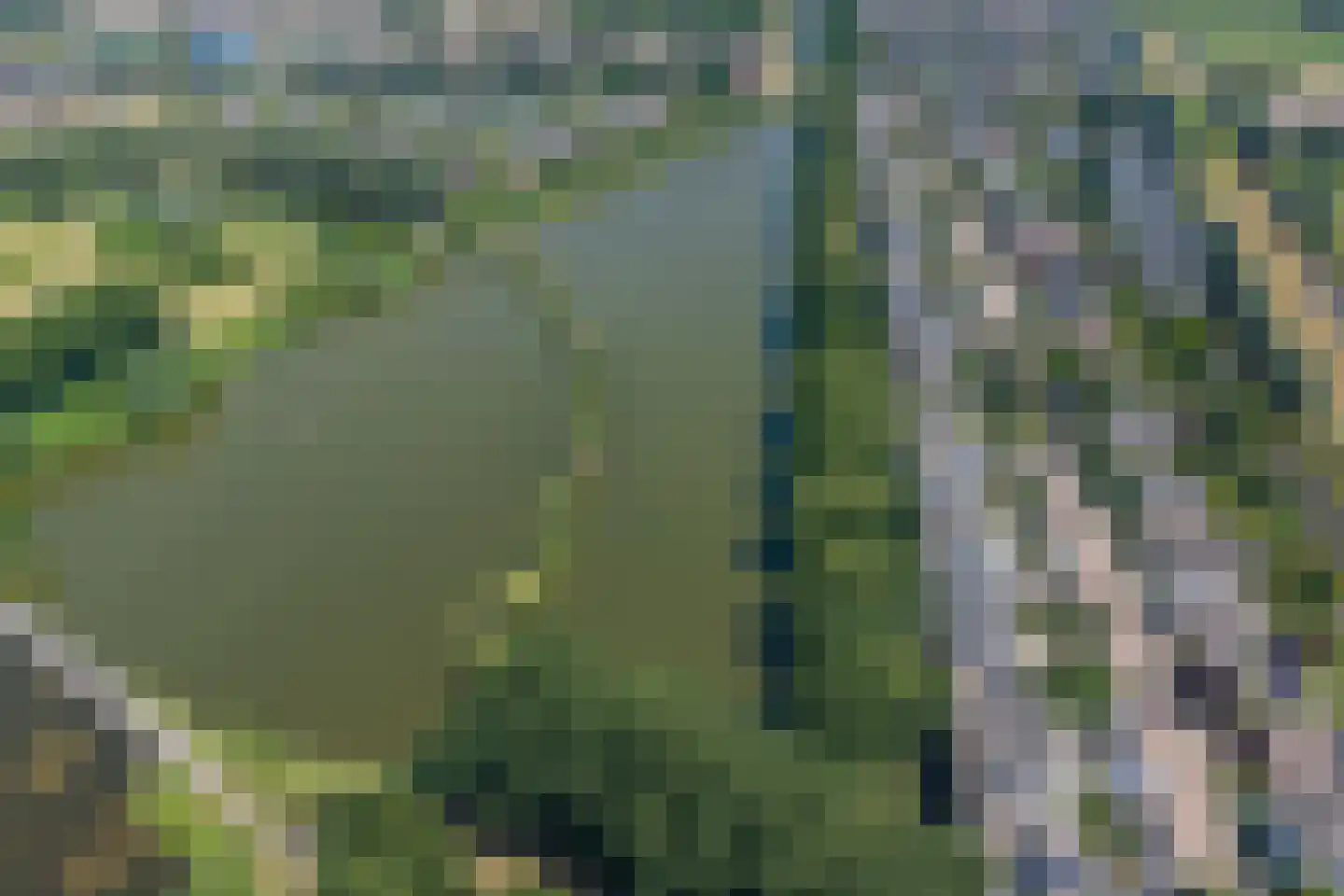 Florazoom 58 Zoetermeer thumbnail 57