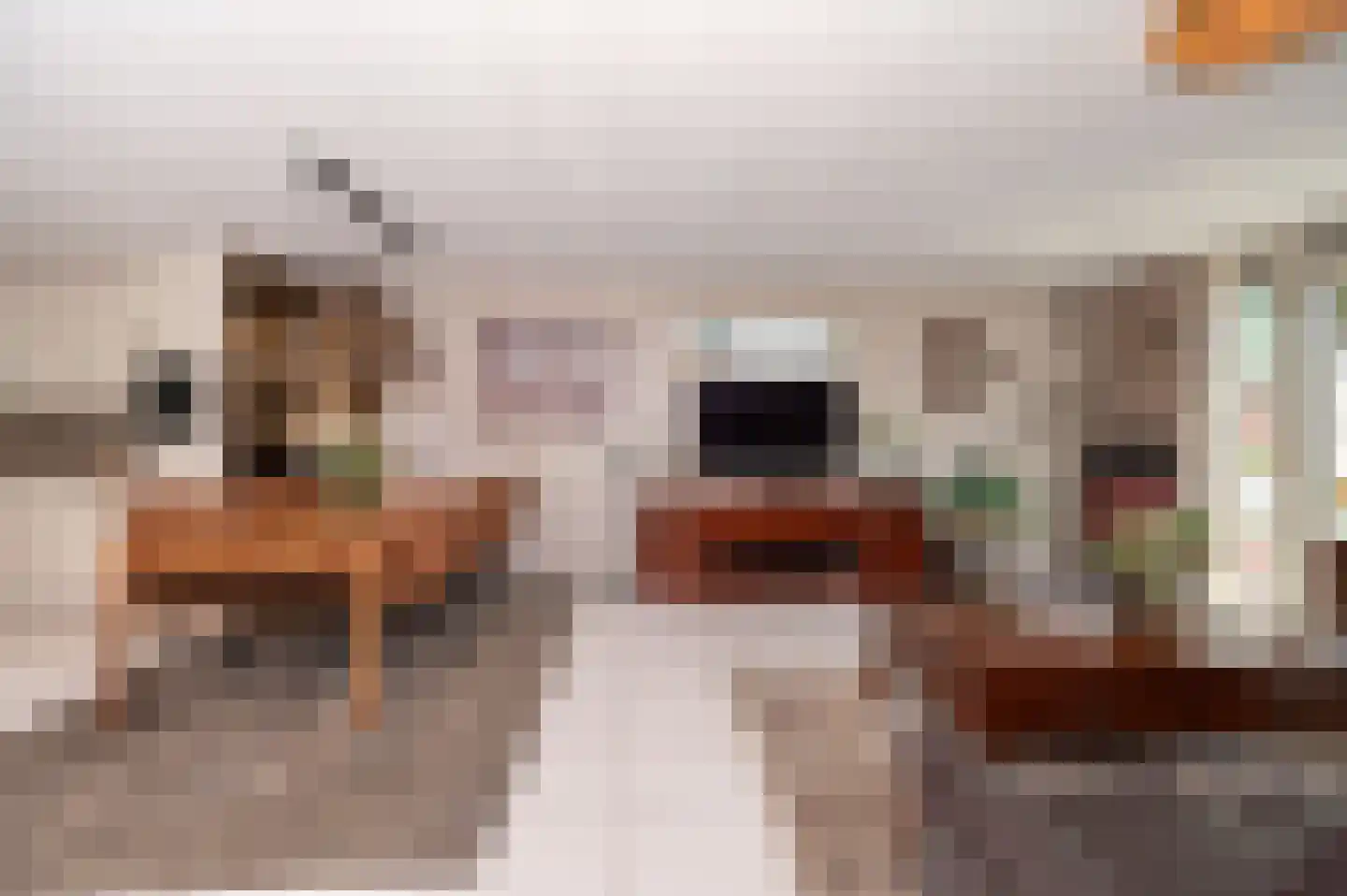 Florazoom 58 Zoetermeer thumbnail 6