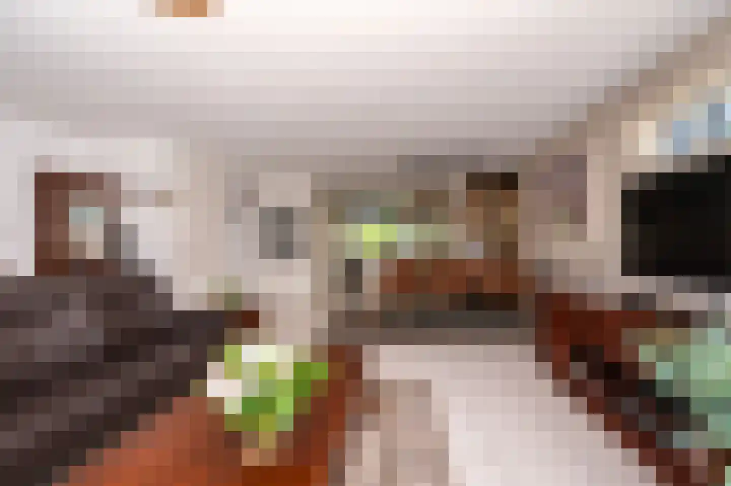 Florazoom 58 Zoetermeer thumbnail 7