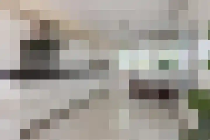 Florazoom 9 Zoetermeer thumbnail 10