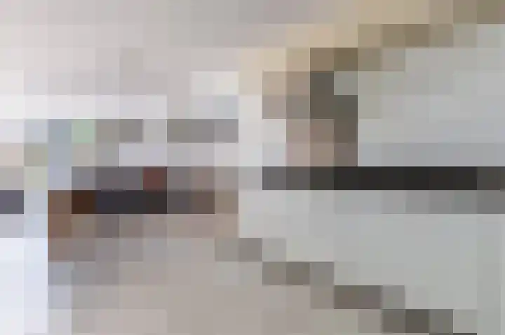 Florazoom 9 Zoetermeer thumbnail 12