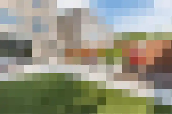 Florazoom 9 Zoetermeer thumbnail 17