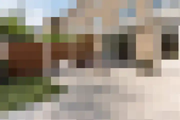 Florazoom 9 Zoetermeer thumbnail 18