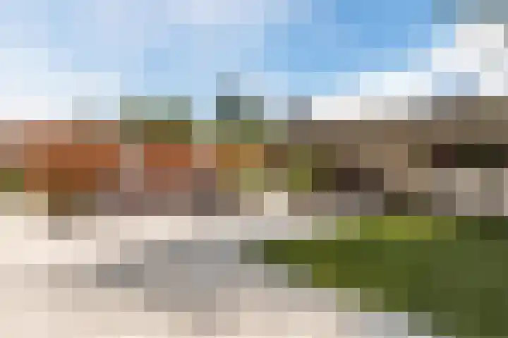 Florazoom 9 Zoetermeer thumbnail 19