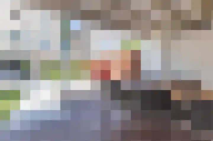 Florazoom 9 Zoetermeer thumbnail 20