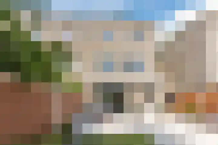 Florazoom 9 Zoetermeer thumbnail 21