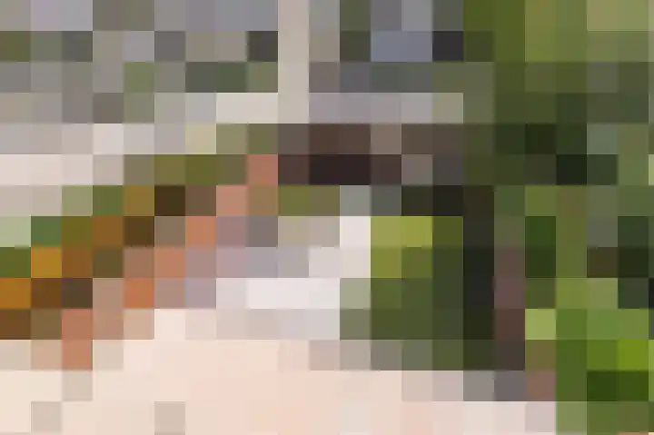 Florazoom 9 Zoetermeer thumbnail 22