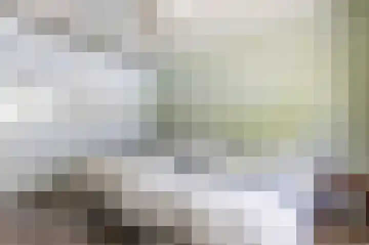 Florazoom 9 Zoetermeer thumbnail 23