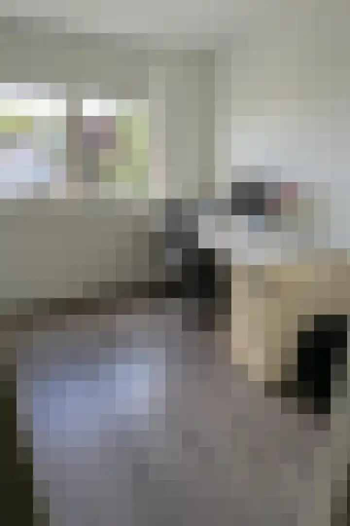 Florazoom 9 Zoetermeer thumbnail 25
