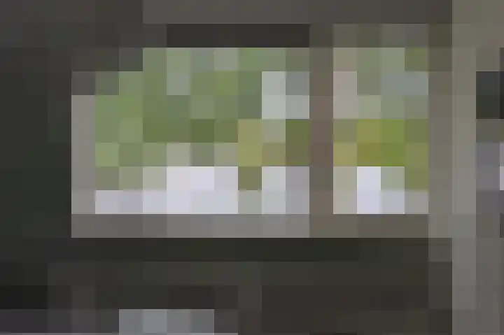 Florazoom 9 Zoetermeer thumbnail 26