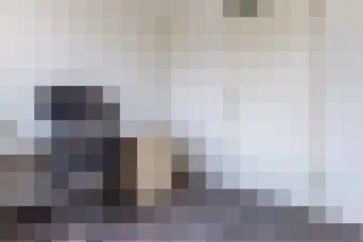 Florazoom 9 Zoetermeer thumbnail 29