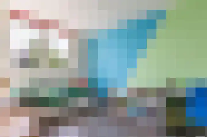 Florazoom 9 Zoetermeer thumbnail 31