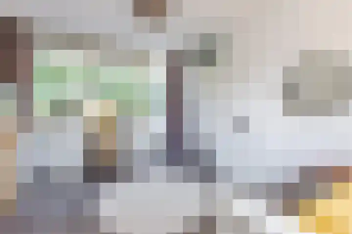 Florazoom 9 Zoetermeer thumbnail 33