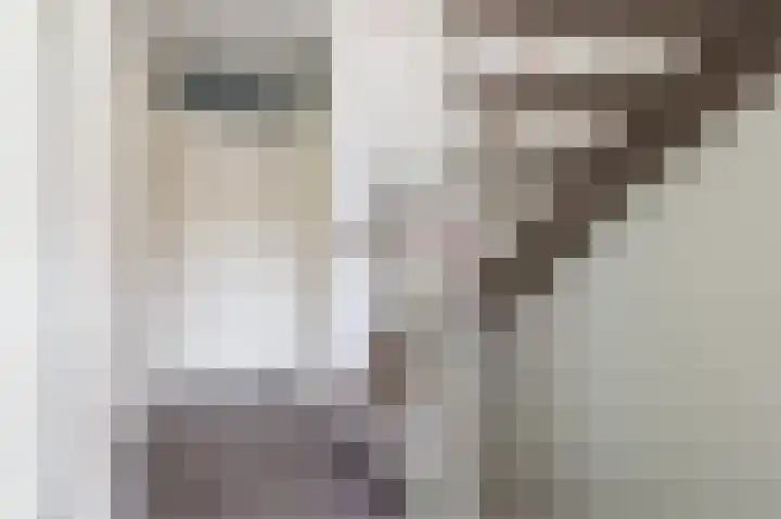 Florazoom 9 Zoetermeer thumbnail 36