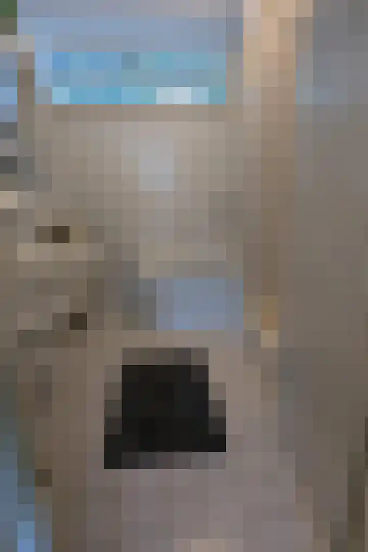 Florazoom 9 Zoetermeer thumbnail 38