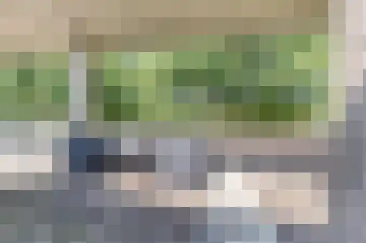 Florazoom 9 Zoetermeer thumbnail 43