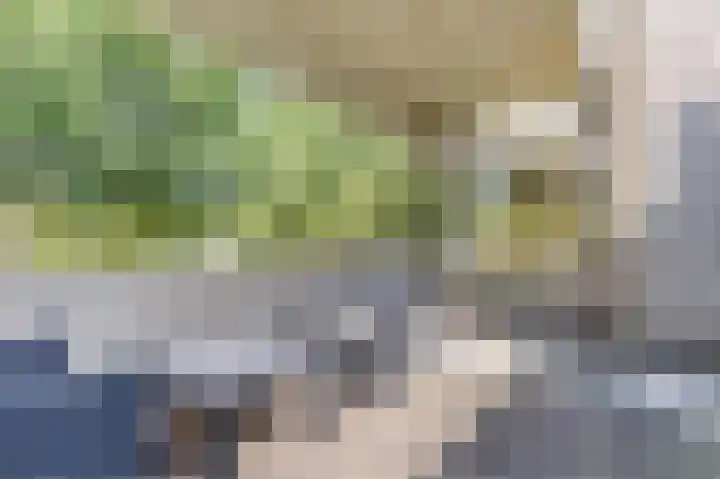Florazoom 9 Zoetermeer thumbnail 44