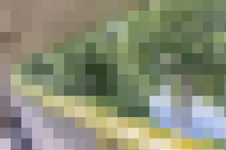 Florazoom 9 Zoetermeer thumbnail 45