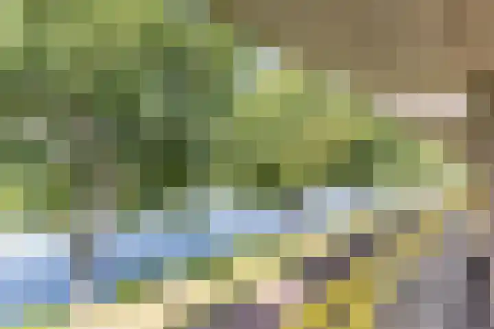 Florazoom 9 Zoetermeer thumbnail 46