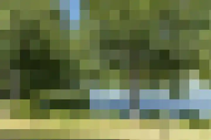 Florazoom 9 Zoetermeer thumbnail 47