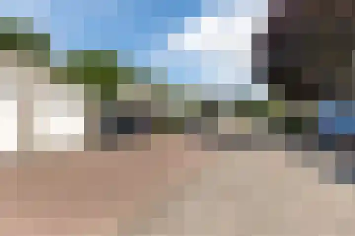 Florazoom 9 Zoetermeer thumbnail 49