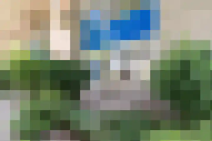 Florazoom 9 Zoetermeer thumbnail 5