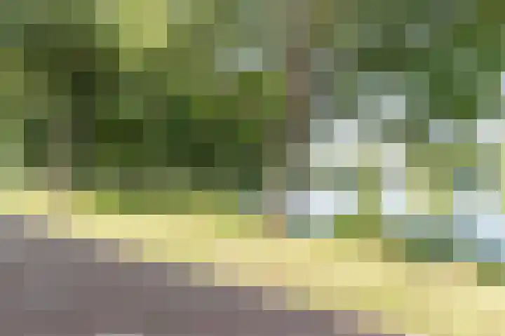 Florazoom 9 Zoetermeer thumbnail 50