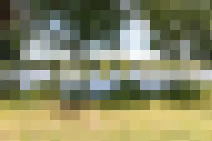 Florazoom 9 Zoetermeer thumbnail 51