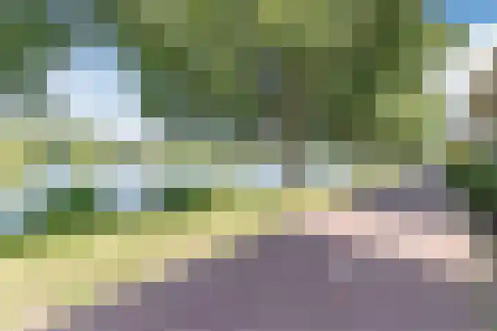 Florazoom 9 Zoetermeer thumbnail 52