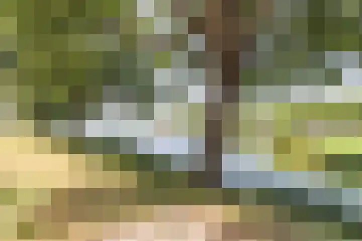 Florazoom 9 Zoetermeer thumbnail 53