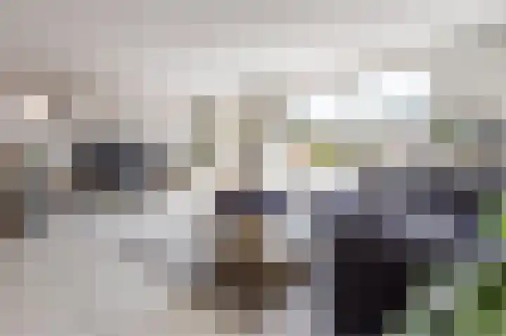 Florazoom 9 Zoetermeer thumbnail 8