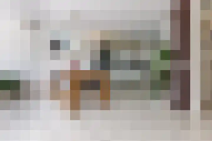 Florazoom 9 Zoetermeer thumbnail 9