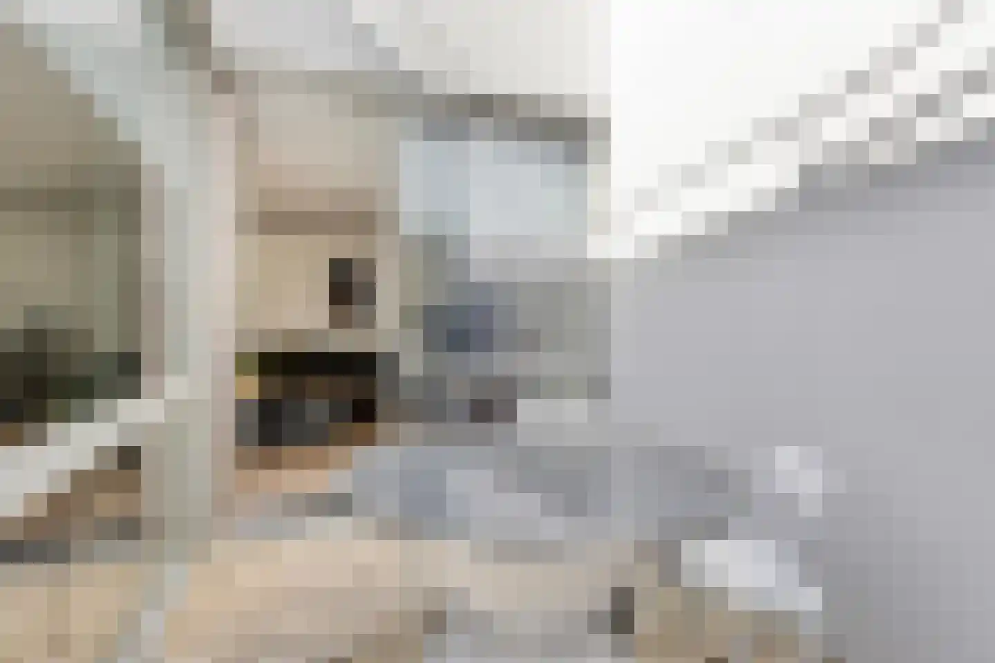 Floreffestraat 11 h Someren thumbnail 17