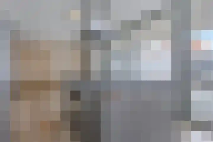 Floreffestraat 11 Someren thumbnail 15