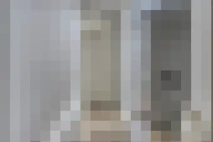 Floreffestraat 11 Someren thumbnail 5