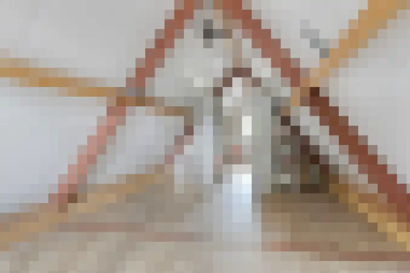 Floreffestraat 2 a Lieshout thumbnail 32