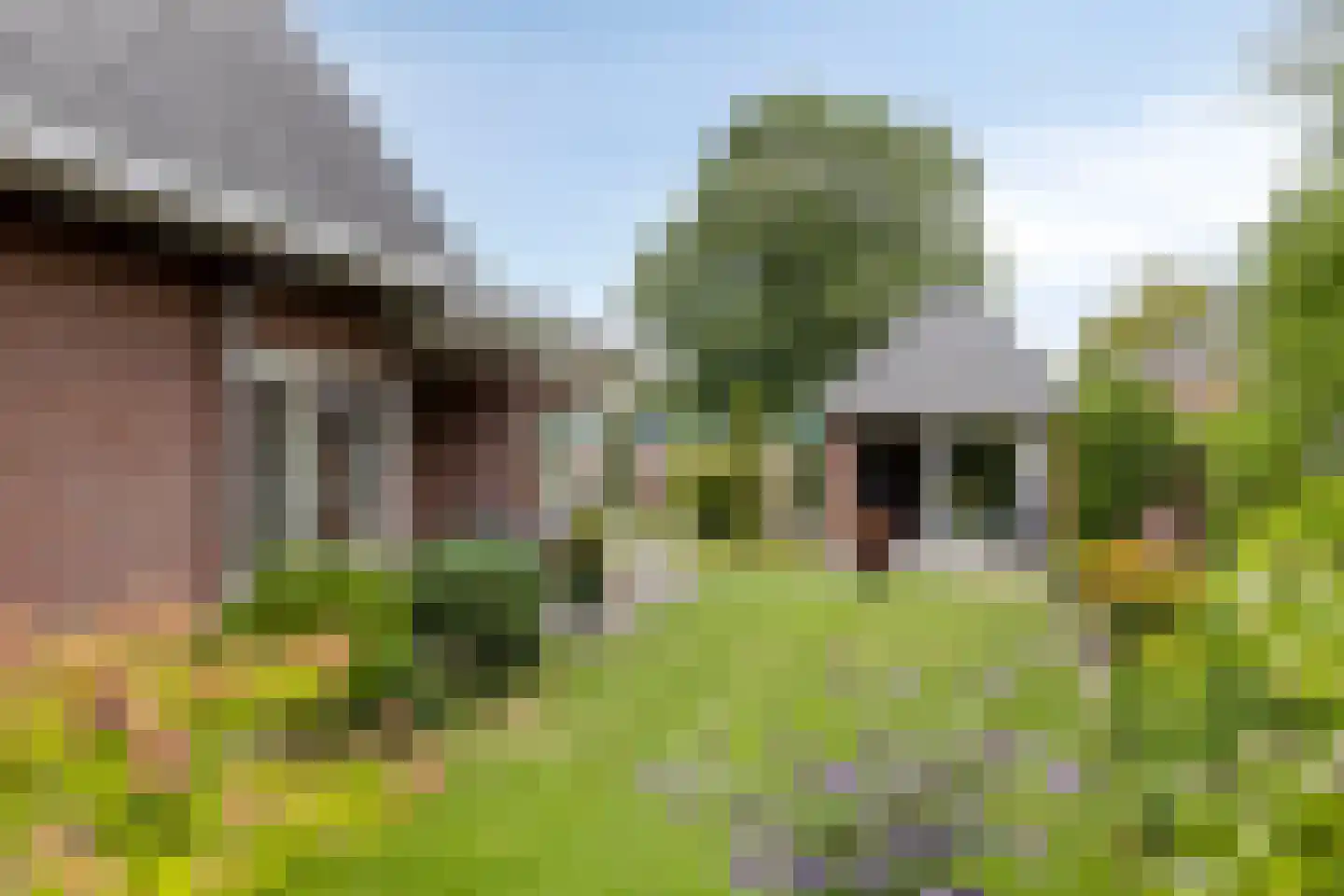 Floreffestraat 2 a Lieshout thumbnail 37