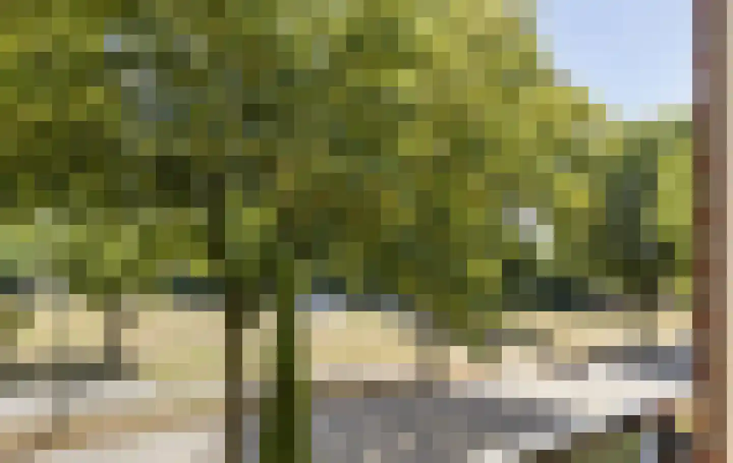 Floreffestraat 2 a Lieshout thumbnail 45