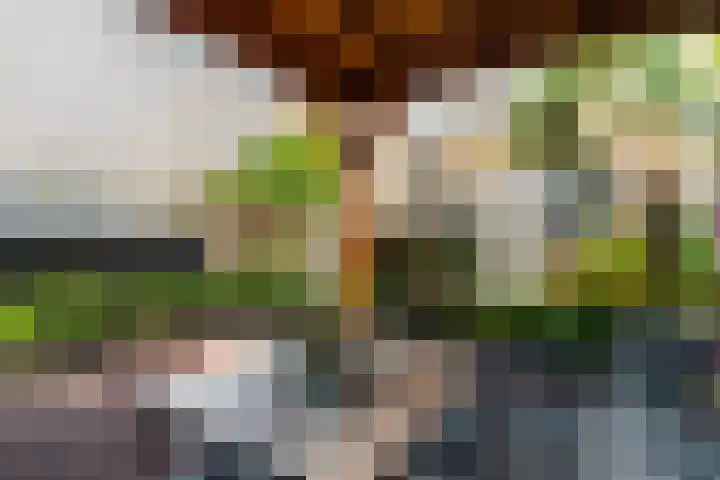Floreffestraat 29 Werkendam thumbnail 33