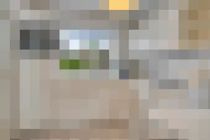 Floreffestraat 9 Veldhoven thumbnail 15