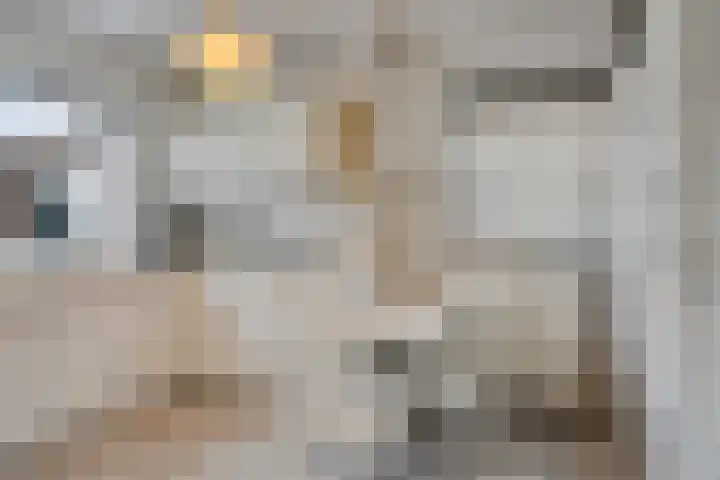 Floreffestraat 9 Veldhoven thumbnail 17