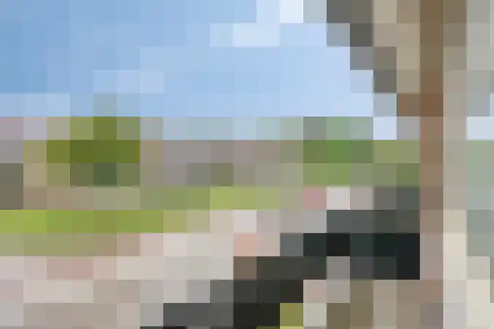 Floreffestraat 9 Veldhoven thumbnail 23