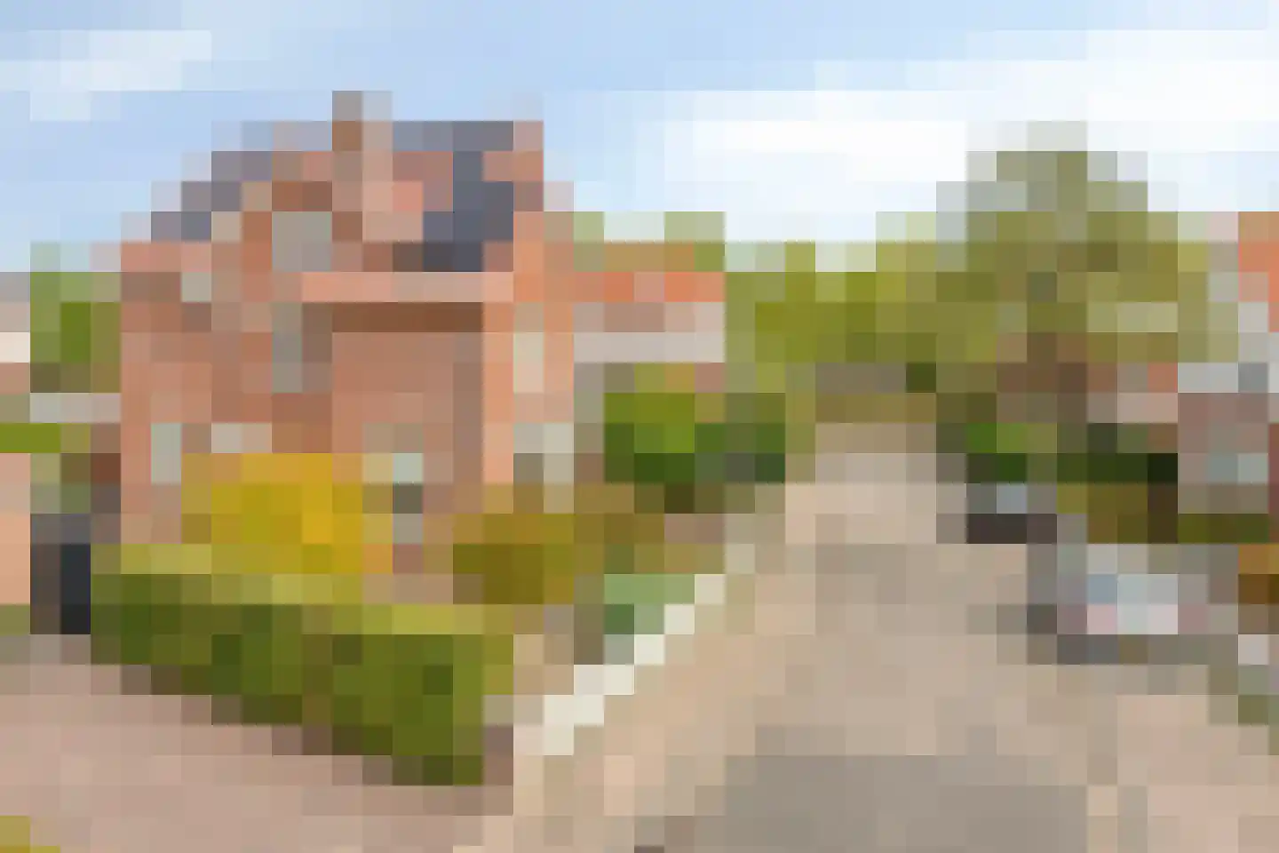 Florenbeemden 2 Helmond thumbnail 13